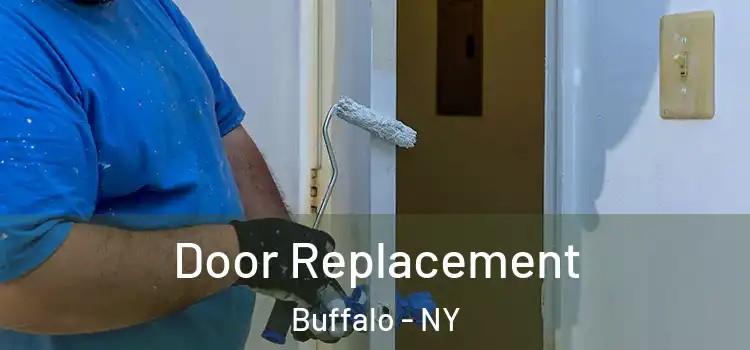  Door Replacement Buffalo - NY