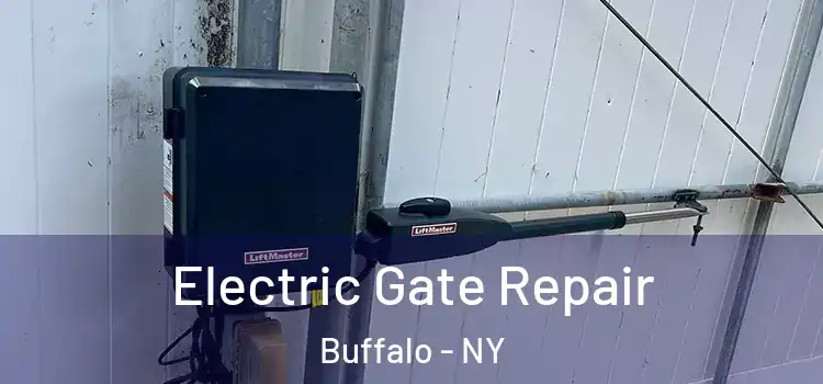  Electric Gate Repair Buffalo - NY