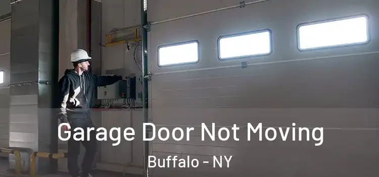  Garage Door Not Moving Buffalo - NY