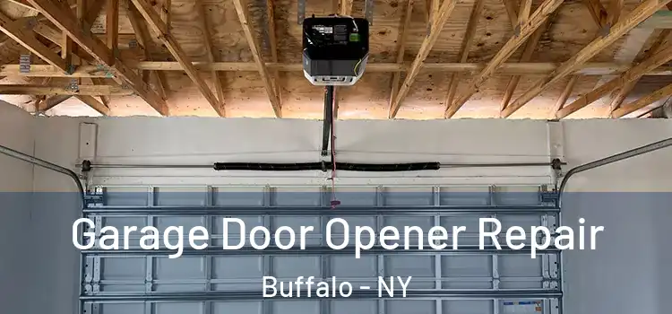  Garage Door Opener Repair Buffalo - NY