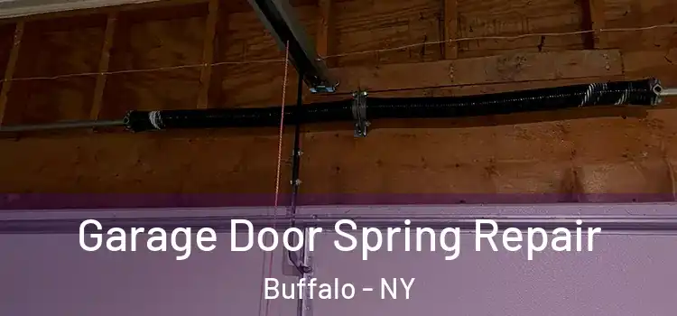  Garage Door Spring Repair Buffalo - NY