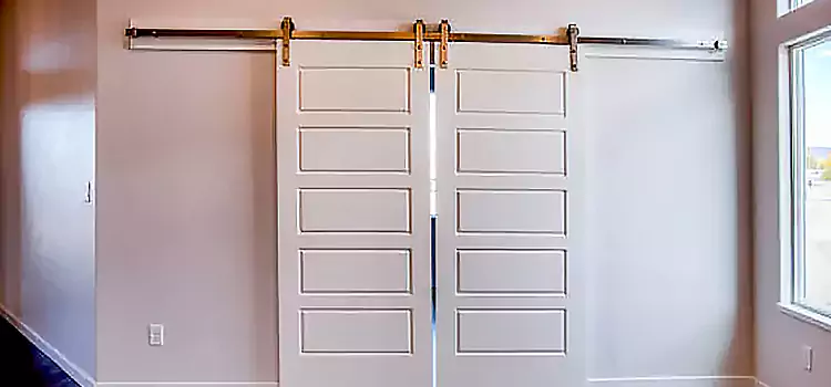 Glass Barn Door with Installation Hardware Kit Buffalo