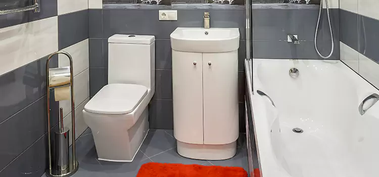 Hansgrohe Shaving Mirror Buffalo