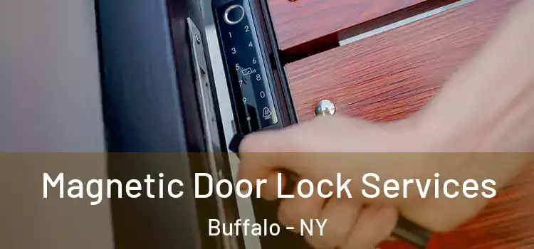  Magnetic Door Lock Services Buffalo - NY